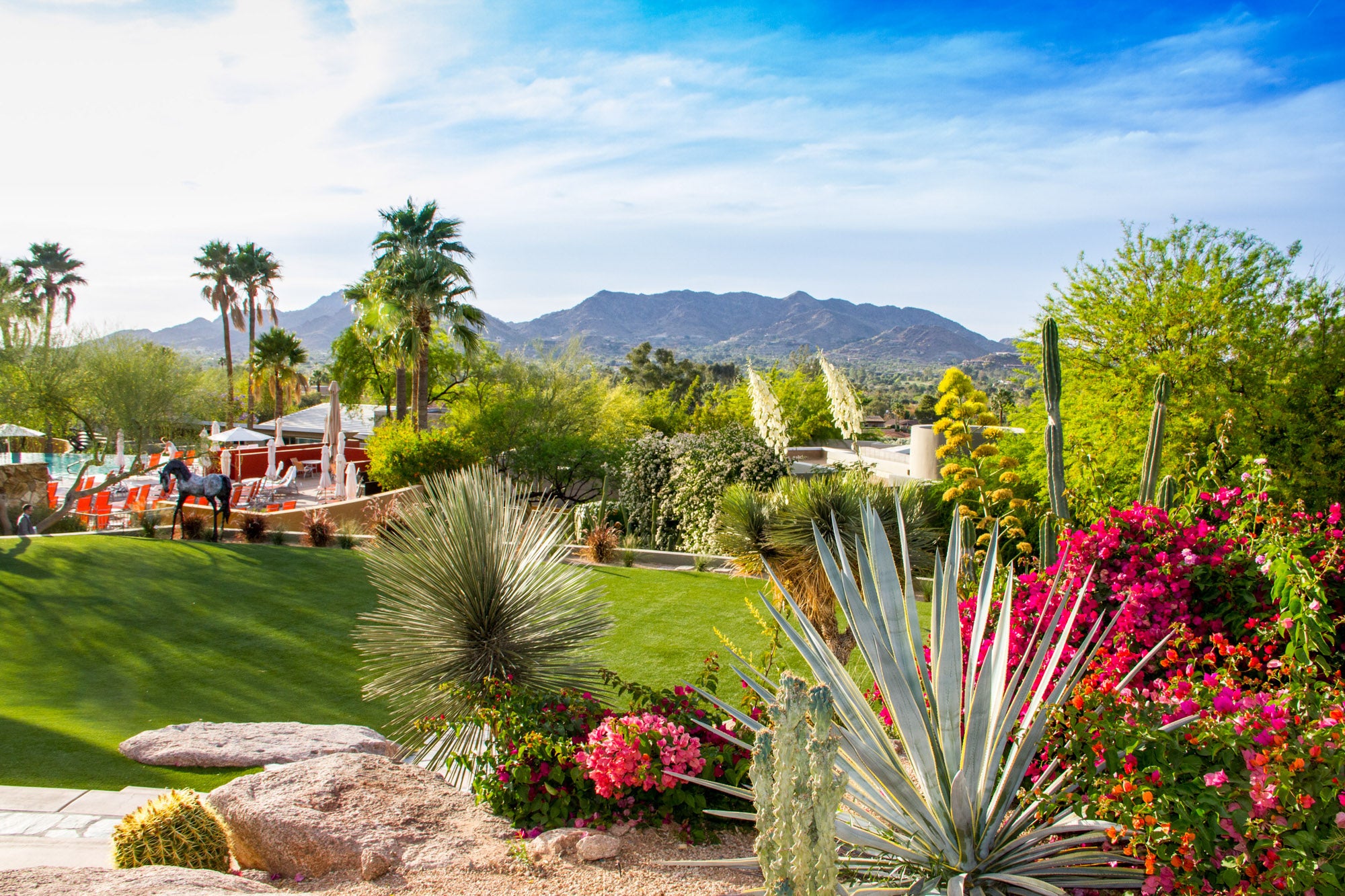 Artist in Residence - Sanctuary Resort