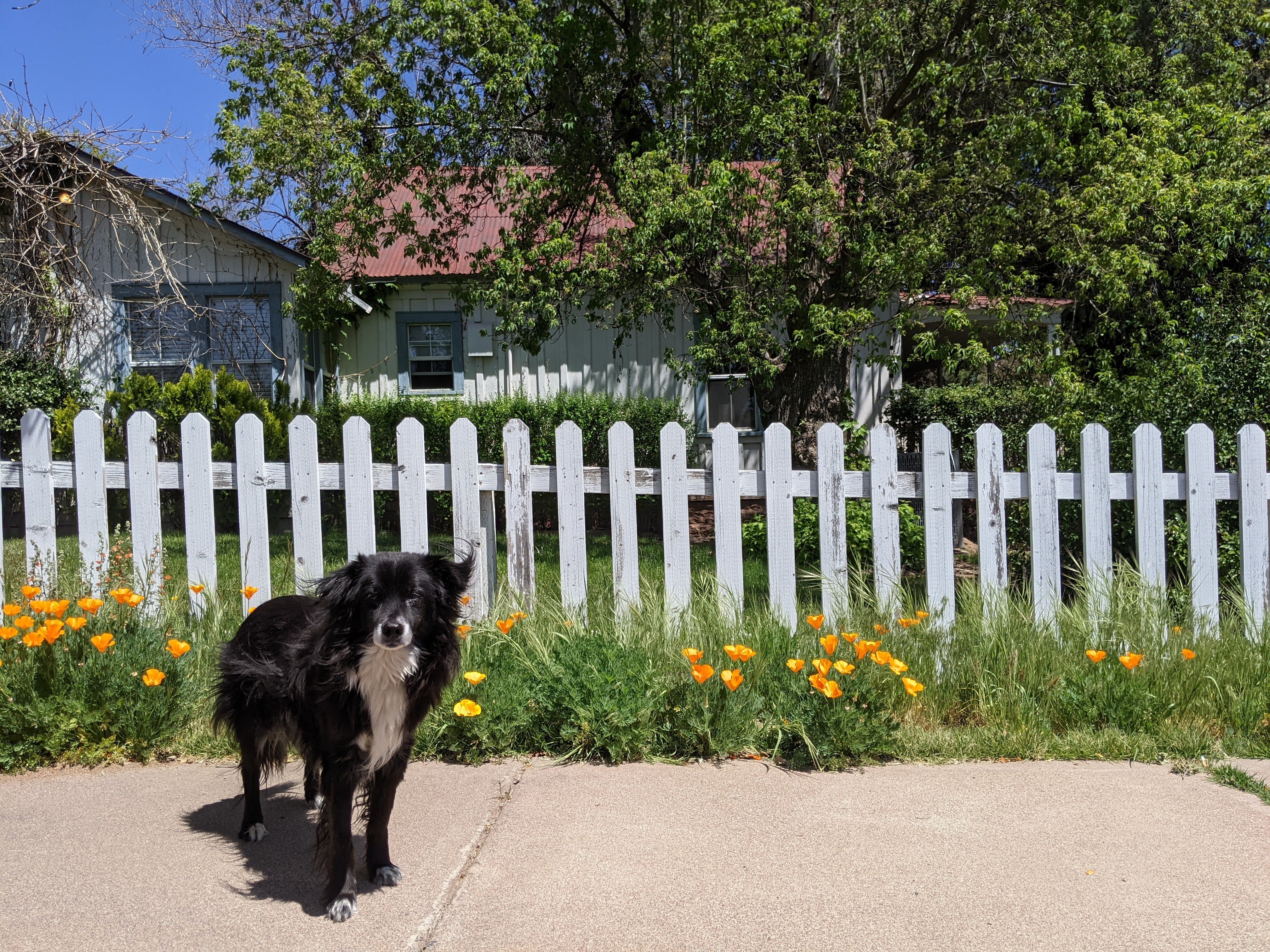 Rosa's Top 5 Things to do in Payson