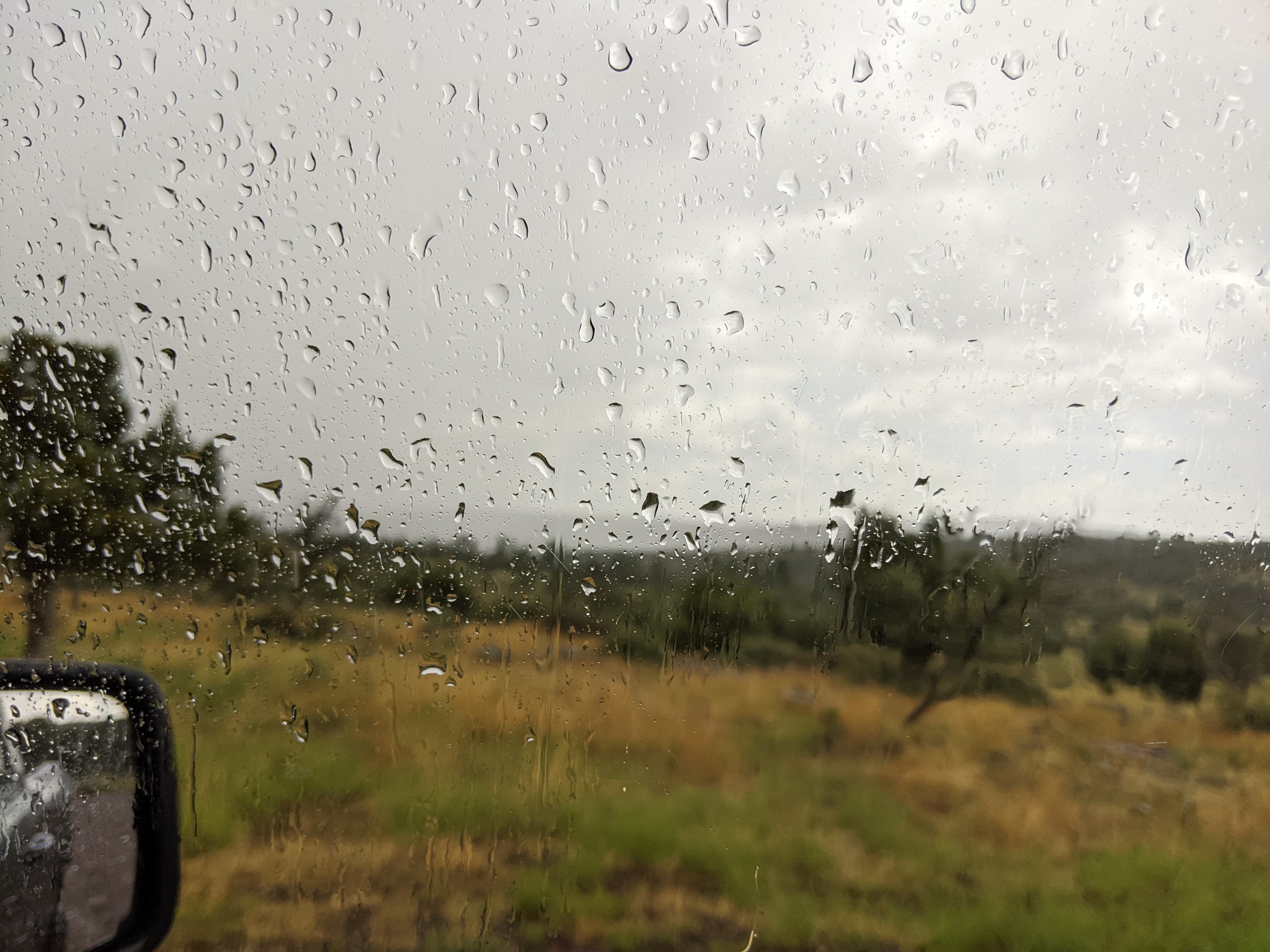 Summer Storms