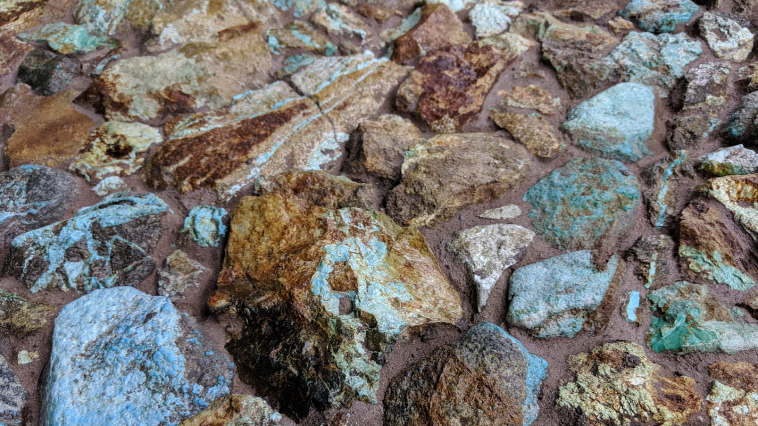 Kingman Turquoise